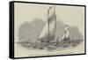 Sailing Match of the Thames Royal Yacht Club, Off Greenwich-null-Framed Stretched Canvas
