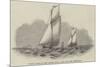 Sailing Match of the Thames Royal Yacht Club, Off Greenwich-null-Mounted Giclee Print