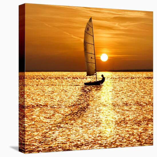 Sailing Off into the Sunset-Adrian Campfield-Stretched Canvas