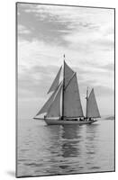 Sailing Off-Ben Wood-Mounted Art Print