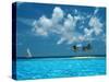 Sailing on the Blue Sea-Bill Ross-Stretched Canvas