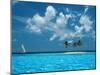 Sailing on the Blue Sea-Bill Ross-Mounted Premium Photographic Print