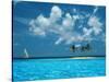 Sailing on the Blue Sea-Bill Ross-Stretched Canvas