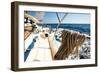 Sailing Regatta.-De Visu-Framed Photographic Print