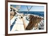 Sailing Regatta.-De Visu-Framed Photographic Print
