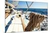 Sailing Regatta.-De Visu-Mounted Photographic Print