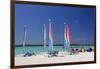 Sailing Rentals, Beach, Castaway Cay, Bahamas, Caribbean-Kymri Wilt-Framed Photographic Print