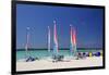 Sailing Rentals, Beach, Castaway Cay, Bahamas, Caribbean-Kymri Wilt-Framed Photographic Print