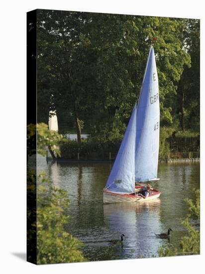 Sailing School, Arrow Valley Lake Country Park, Redditch, Worcestershire, Midlands, England-David Hughes-Stretched Canvas