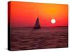 Sailing Series 13-Renel Peters-Stretched Canvas