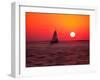 Sailing Series 13-Renel Peters-Framed Art Print