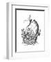 Sailing Ship, 1445-Henry Shaw-Framed Giclee Print