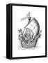 Sailing Ship, 1445-Henry Shaw-Framed Stretched Canvas