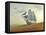 Sailing Ship In Desert-Mike_Kiev-Framed Stretched Canvas
