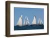 Sailing ship in the ocean at Gloucester Schooner Festival, Gloucester, Cape Ann, Essex County, M...-null-Framed Photographic Print