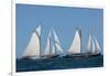 Sailing ship in the ocean at Gloucester Schooner Festival, Gloucester, Cape Ann, Essex County, M...-null-Framed Photographic Print