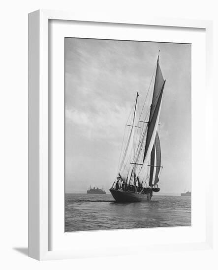 Sailing Ship Moyana-null-Framed Photographic Print