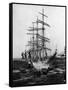 Sailing Ship S.S. Viking-null-Framed Stretched Canvas