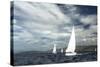 Sailing Ship Yachts with White Sails in a Row.-De Visu-Stretched Canvas