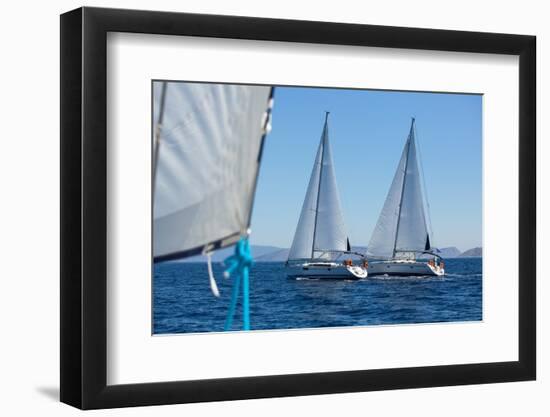 Sailing Ship Yachts with White Sails in a Row.-De Visu-Framed Photographic Print