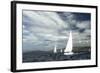 Sailing Ship Yachts with White Sails in a Row.-De Visu-Framed Photographic Print