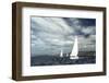 Sailing Ship Yachts with White Sails in a Row.-De Visu-Framed Photographic Print