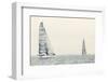 Sailing Ship Yachts with White Sails-Andrew Bayda-Framed Photographic Print