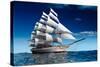 Sailing Ship-Antartis-Stretched Canvas