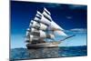 Sailing Ship-Antartis-Mounted Photographic Print