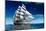 Sailing Ship-Antartis-Mounted Photographic Print