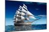 Sailing Ship-Antartis-Mounted Photographic Print