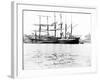 Sailing Ships at St Katharine's Dock, London, C1905-null-Framed Photographic Print