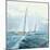 Sailing Ships III-Rick Novak-Mounted Art Print