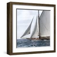 Sailing South-Jorge Llovet-Framed Giclee Print