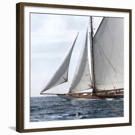 Sailing South-Jorge Llovet-Framed Giclee Print