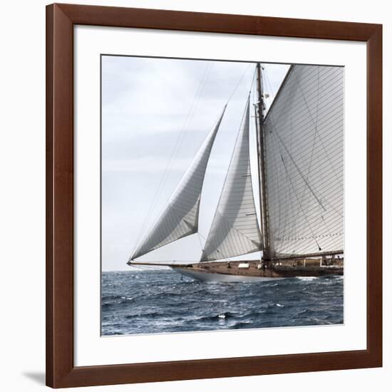 Sailing South-Jorge Llovet-Framed Giclee Print