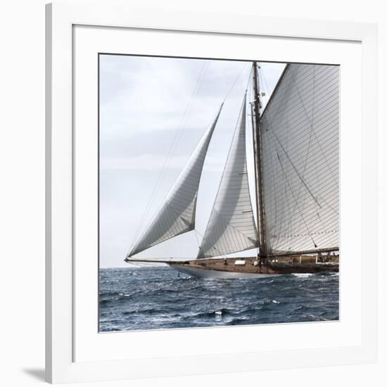 Sailing South-Jorge Llovet-Framed Giclee Print