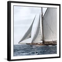 Sailing South-Jorge Llovet-Framed Giclee Print