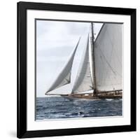 Sailing South-Jorge Llovet-Framed Giclee Print