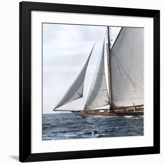 Sailing South-Jorge Llovet-Framed Giclee Print