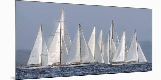 Sailing Team-Xavier Ortega-Mounted Giclee Print