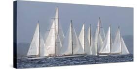 Sailing Team-Xavier Ortega-Stretched Canvas