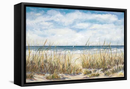 Sailing the Beautiful Coast-Julie DeRice-Framed Stretched Canvas