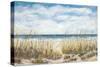 Sailing the Beautiful Coast-Julie DeRice-Stretched Canvas