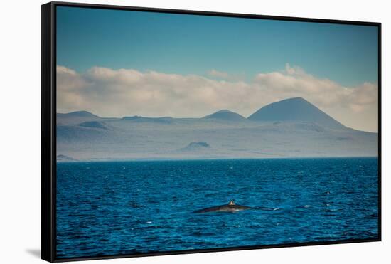 Sailing the Galapagos Islands, Ecuador, South America-Laura Grier-Framed Stretched Canvas