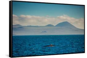 Sailing the Galapagos Islands, Ecuador, South America-Laura Grier-Framed Stretched Canvas