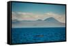 Sailing the Galapagos Islands, Ecuador, South America-Laura Grier-Framed Stretched Canvas