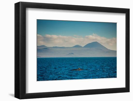 Sailing the Galapagos Islands, Ecuador, South America-Laura Grier-Framed Photographic Print