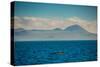 Sailing the Galapagos Islands, Ecuador, South America-Laura Grier-Stretched Canvas