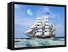 Sailing The Ocean 6-Ata Alishahi-Framed Stretched Canvas